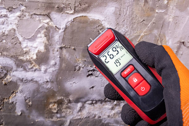 Best Mold Testing  in North Lewisburg, OH