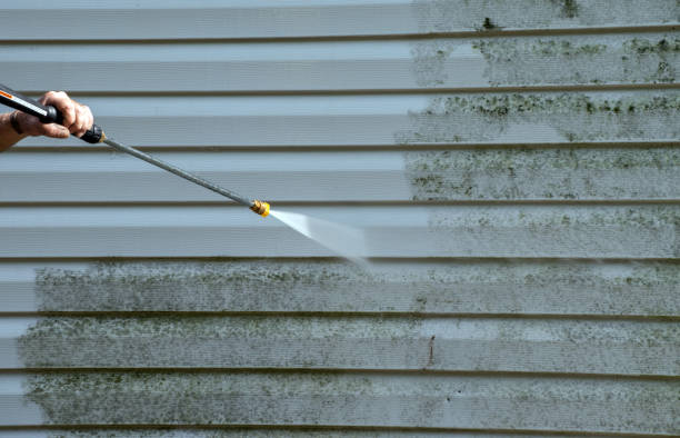 Best Mold Removal Near Me  in North Lewisburg, OH