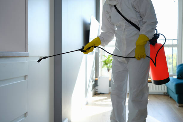 Best Mold Damage Repair  in North Lewisburg, OH